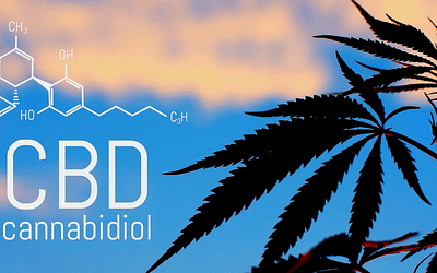 Everything You Need to Know About CBD