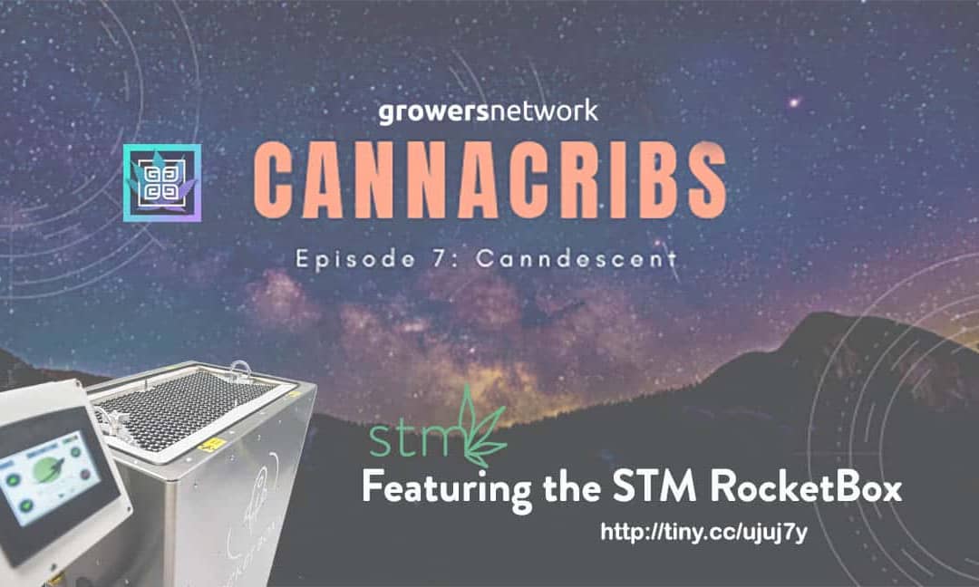 CannaCribs features the STM RocketBox Joint Packing Machine