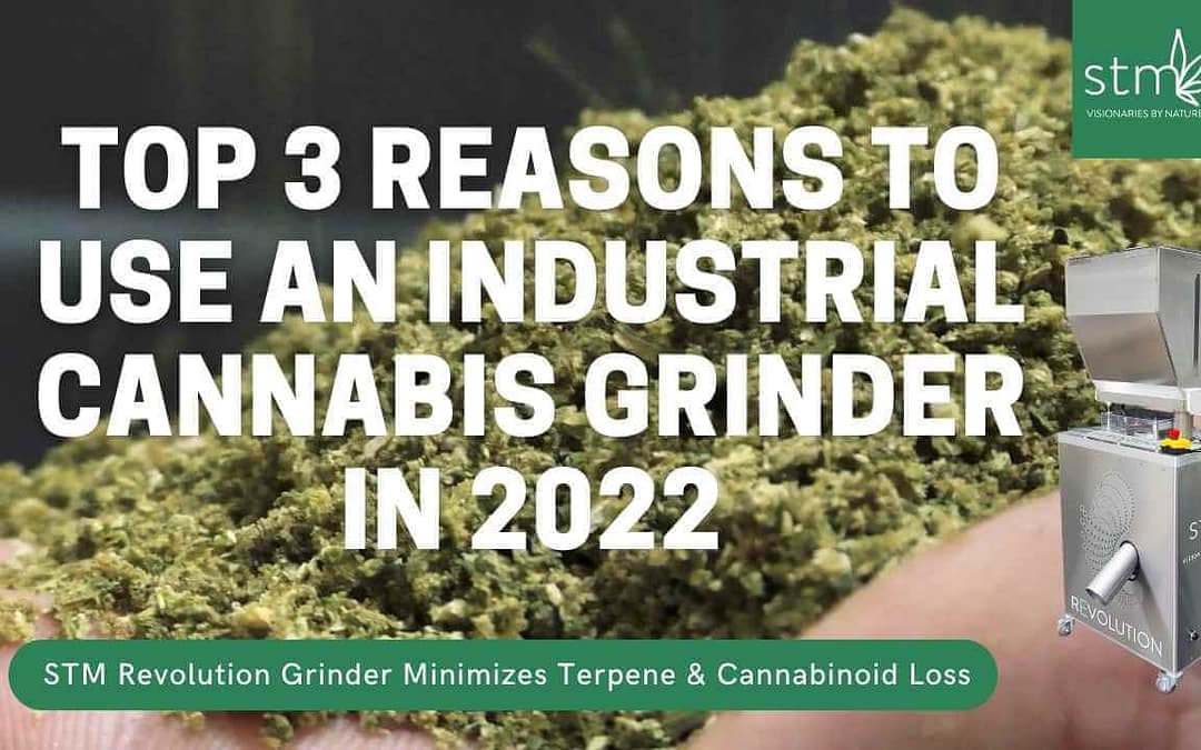Top 3 Reasons to Use Industrial Cannabis Grinder [2022]